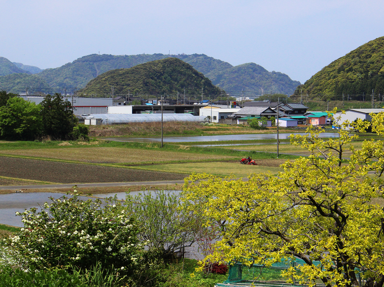 風景